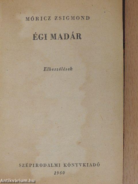 Égi madár