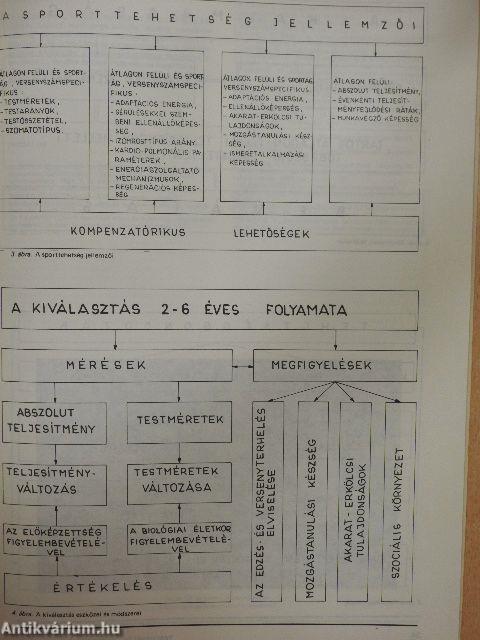 Testnevelés- és Sporttudomány 1984/4