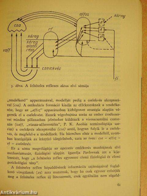 Információs pszichológia és didaktika