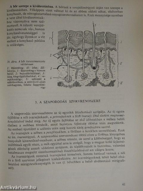 A fogorvosi asszisztensek tankönyve