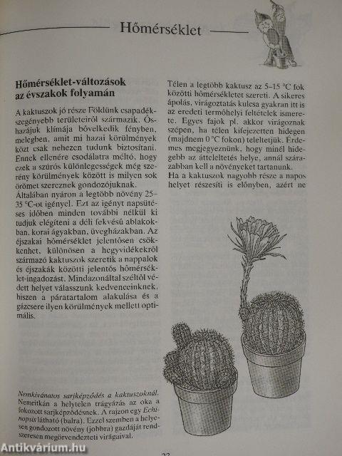 Kaktuszok a lakásban és a kertben