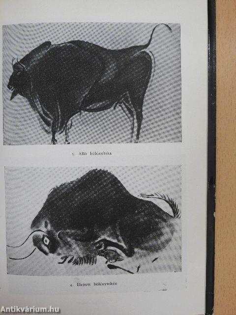 Miért szép a szép