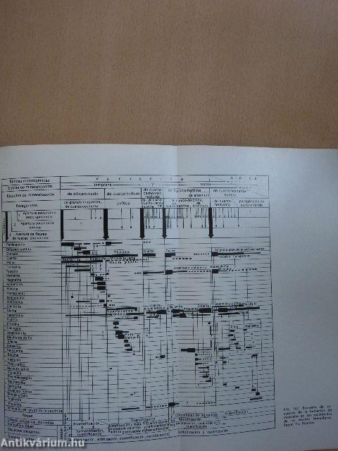 Geología de yacimientos minerales