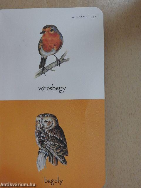 Larousse állatenciklopédia piciknek