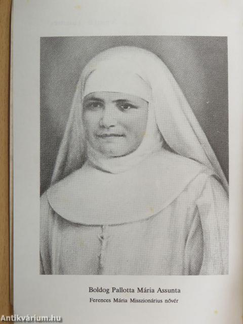 A merész "kistestvér"