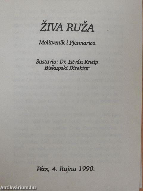 Ziva ruza