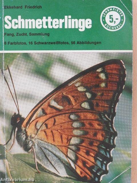 Schmetterlinge