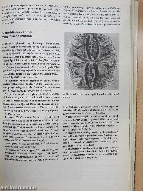 Urania Növényvilág - Alacsonyabbrendű növények