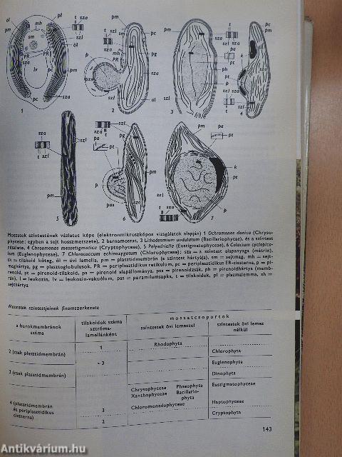 Urania Növényvilág - Alacsonyabbrendű növények