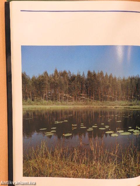 Runon ja rajan Perhoset