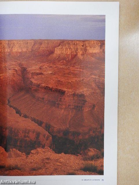 National Geographic Magyarország 2006. január