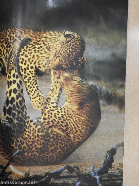 National Geographic Magyarország 2005. szeptember