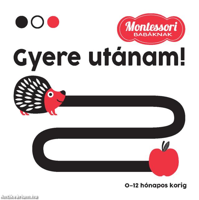 Gyere utánam