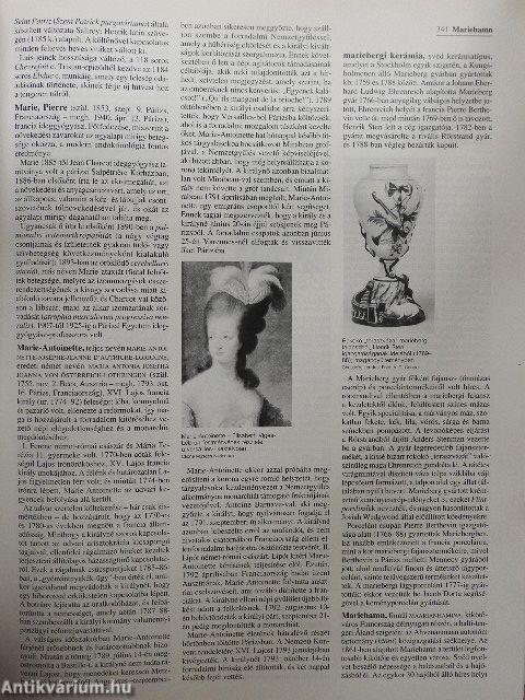 Britannica Hungarica Világenciklopédia 12.