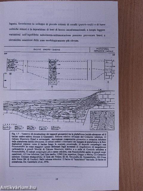 "Il Mesozoico in facies di piattaforma carbonatica interna dei Monti Simbruini-Ernici: biostratigrafia e paleogeografia"