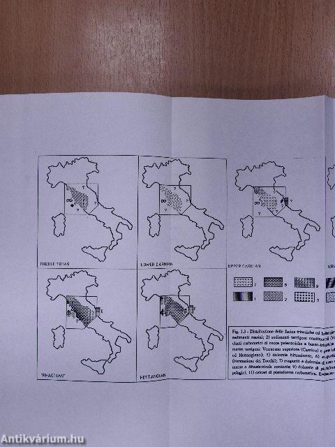 "Il Mesozoico in facies di piattaforma carbonatica interna dei Monti Simbruini-Ernici: biostratigrafia e paleogeografia"