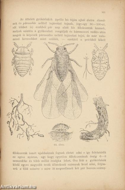 Szőlőművelés és borkezelés könyve
