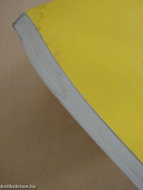 Symantec the Norton pcAnywhere 