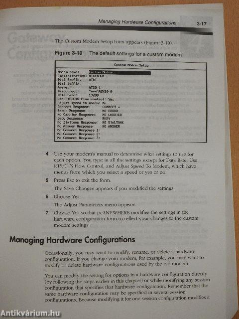 Symantec the Norton pcAnywhere 