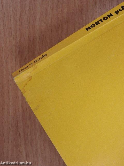 Symantec the Norton pcAnywhere 