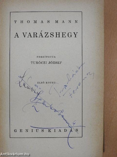 A varázshegy I-II.