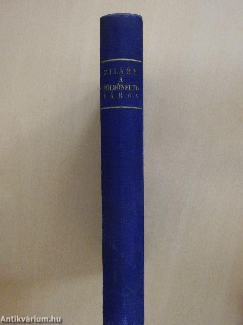 A földönfutó város