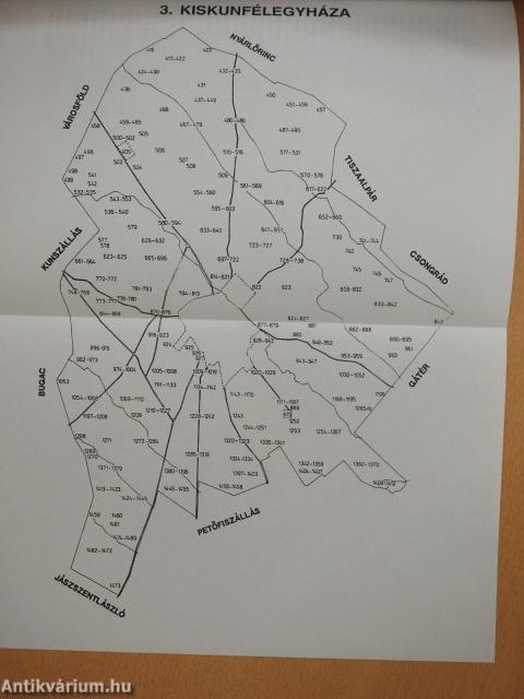 Bács-Kiskun megye földrajzi nevei I. (dedikált példány)