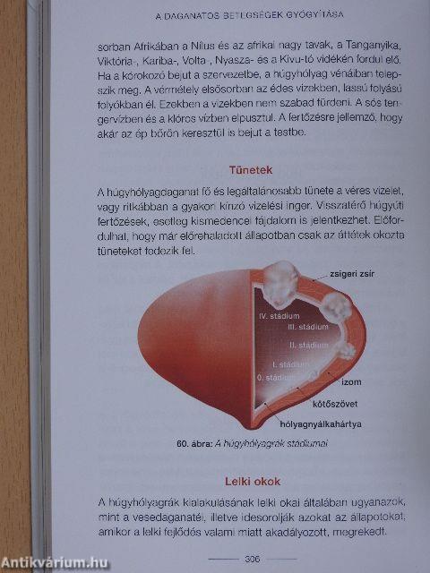 Daganatos betegségek gyógyítása