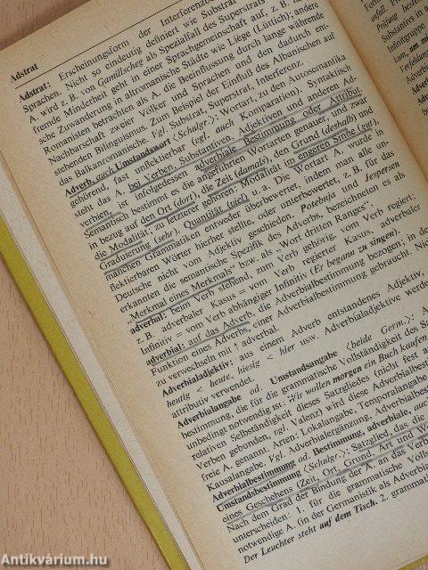 Kleines Wörterbuch sprachwissenschaftlicher Termini