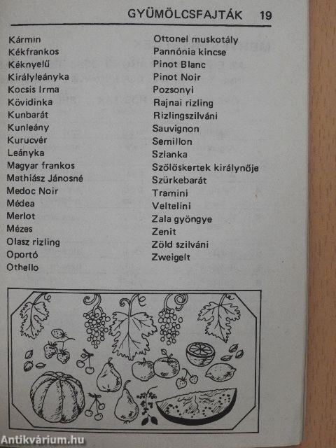 Rejtvényfejtő mini szó-tár 13.