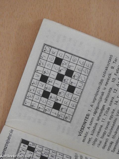 Rejtvényfejtő iskola