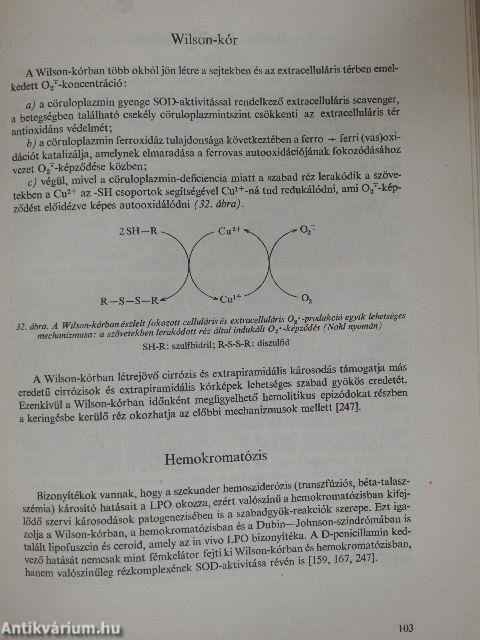 Szabadgyök-reakciók jelentősége az orvostudományban