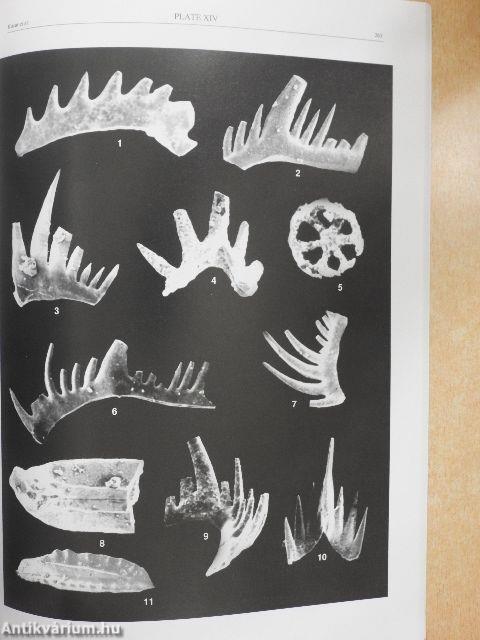 Geologia Croatica 2000/2. 