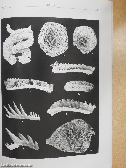 Geologia Croatica 2000/2. 