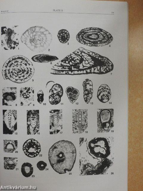 Geologia Croatica 2000/2. 