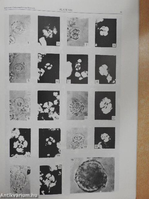 Geologia Croatica 1993/1. 