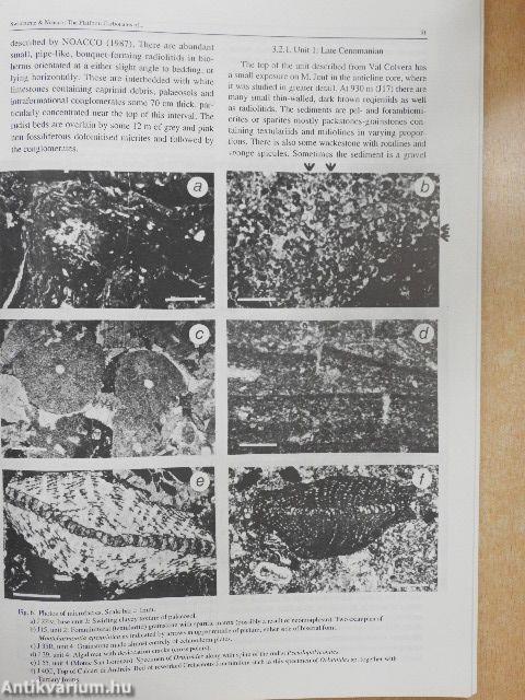 Geologia Croatica 1993/1. 