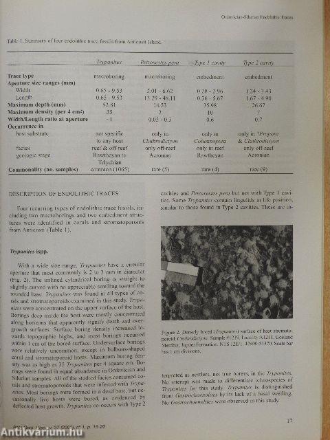 Acta Geologica Hispanica 2002/1. 