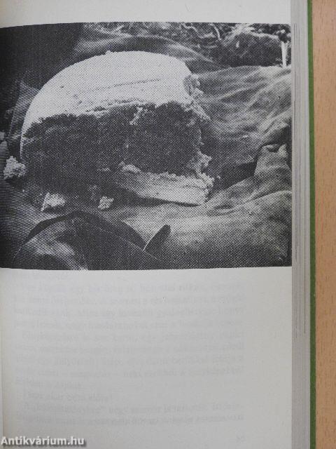 De mi lesz a harangokkal? (Erdély, 1988)