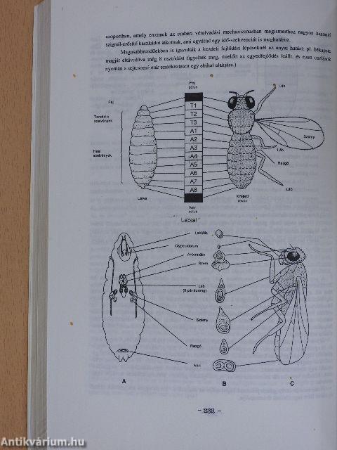 Genetika I-III.