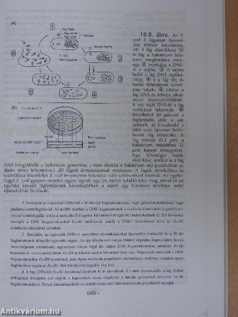 Genetika I-III.