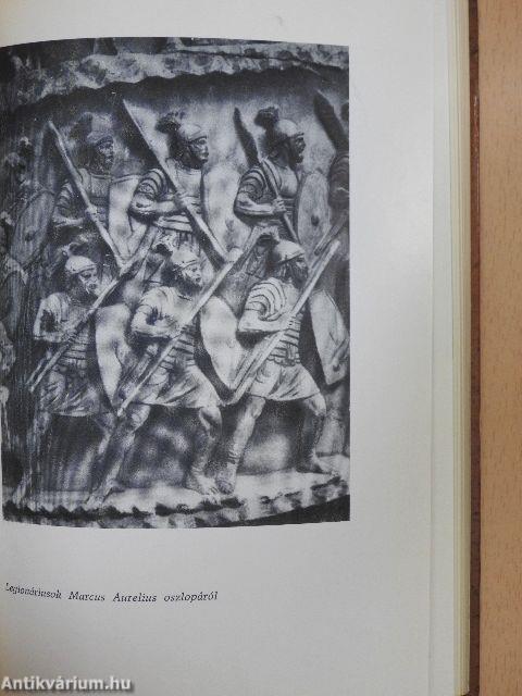 Reng a föld Itáliában