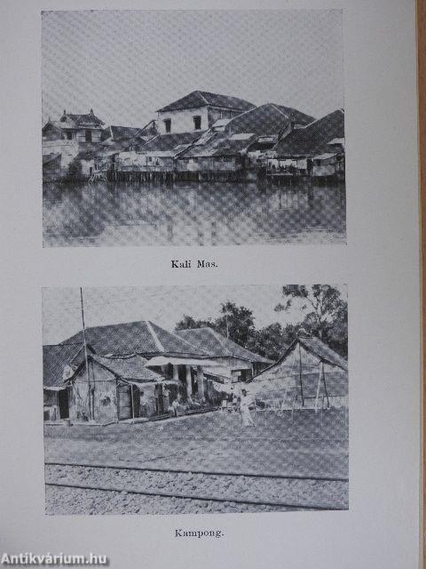 A napsütéses Jáva