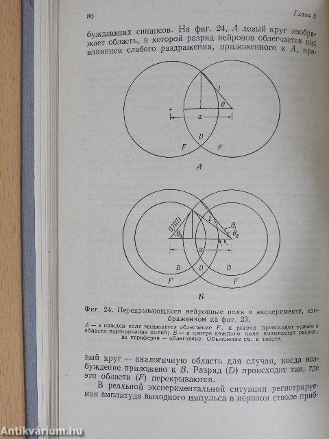 Az idegrendszer modelljei (orosz nyelvű)