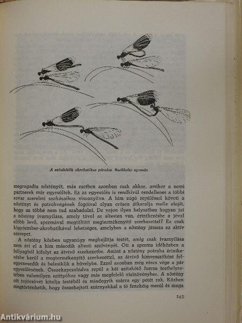 Szerelmi élet az állatvilágban