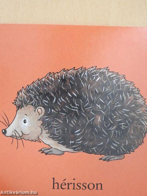 Les animaux du jardin