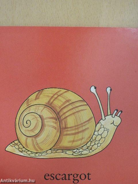 Les animaux du jardin