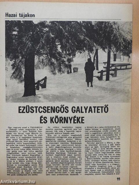 Turista Magazin 1981. március