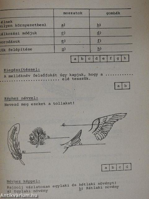 Pedagógia - Szöveggyűjtemény III.