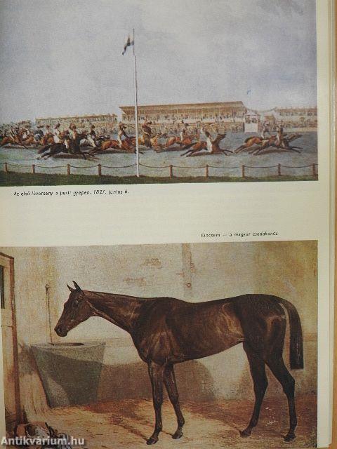 A magyar lóversenyzés története (1827-1977)